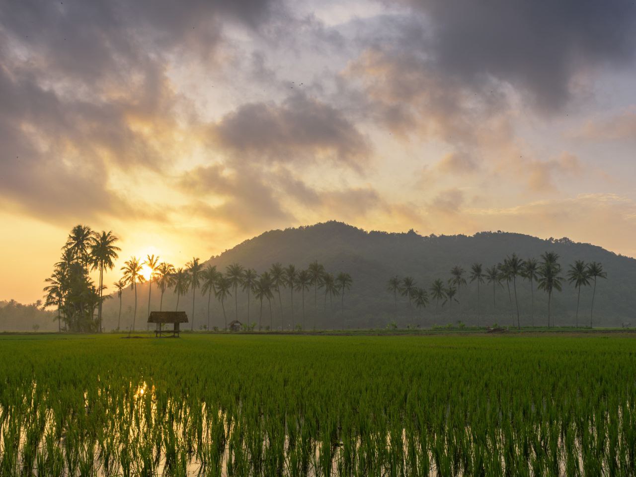 Explore Lombok