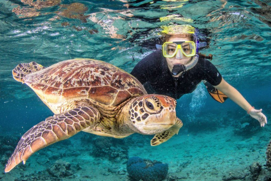 Gili snorkeling trip