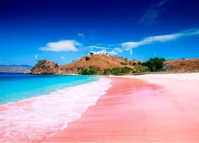 Pink Beach Trip    